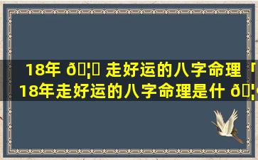 18年 🦟 走好运的八字命理「18年走好运的八字命理是什 🦢 么」